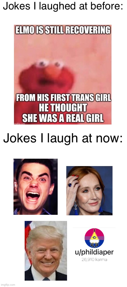 What a bunch of losers | Jokes I laughed at before:; Jokes I laugh at now: | image tagged in trans | made w/ Imgflip meme maker