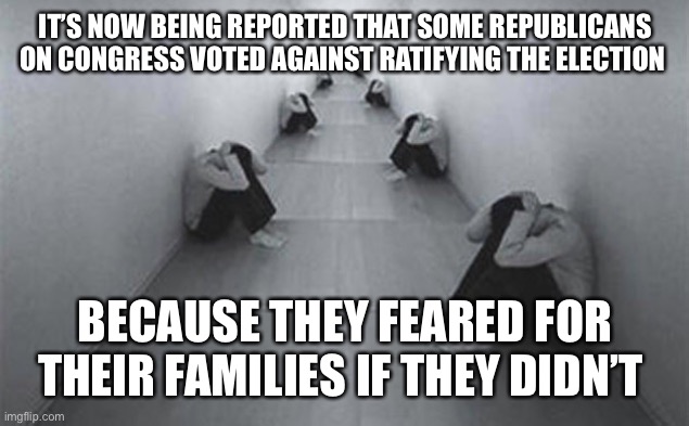 Alt-right doesn’t want democracy, they want to be warlords were guns decide, not votes | IT’S NOW BEING REPORTED THAT SOME REPUBLICANS ON CONGRESS VOTED AGAINST RATIFYING THE ELECTION; BECAUSE THEY FEARED FOR THEIR FAMILIES IF THEY DIDN’T | image tagged in fear | made w/ Imgflip meme maker