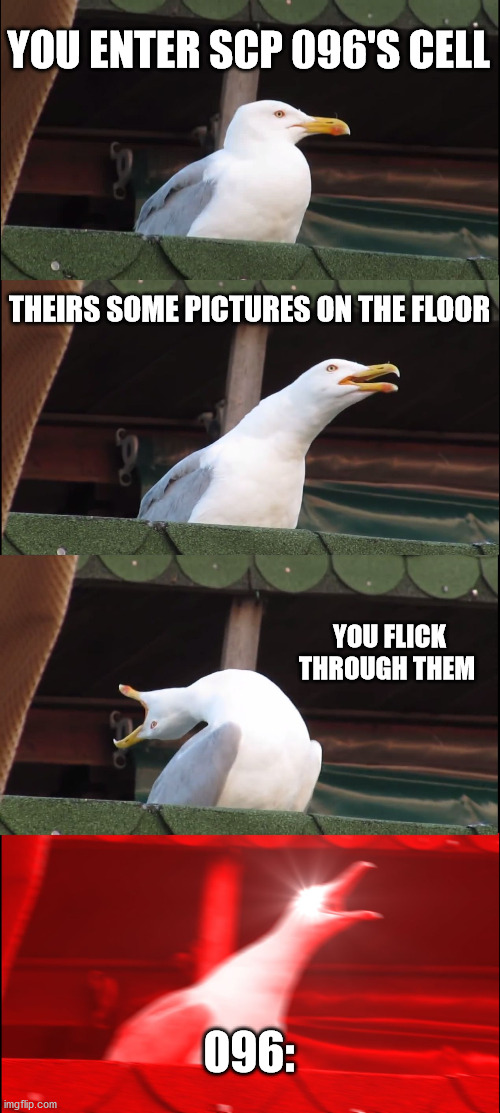 Inhaling Seagull Meme | YOU ENTER SCP 096'S CELL; THEIRS SOME PICTURES ON THE FLOOR; YOU FLICK THROUGH THEM; 096: | image tagged in memes,inhaling seagull | made w/ Imgflip meme maker