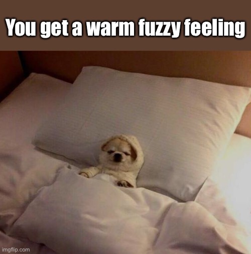 You get a warm fuzzy feeling | made w/ Imgflip meme maker