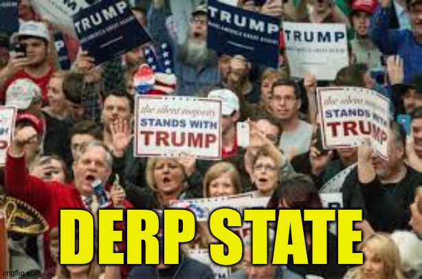 trump supporters  | DERP STATE | image tagged in trump supporters | made w/ Imgflip meme maker