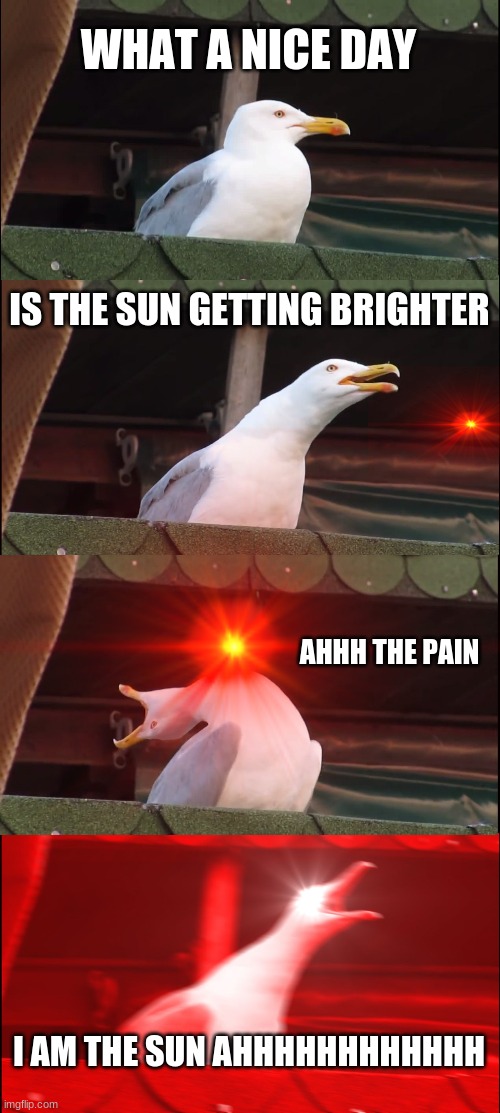 why you shouldn't look at the Sun | WHAT A NICE DAY; IS THE SUN GETTING BRIGHTER; AHHH THE PAIN; I AM THE SUN AHHHHHHHHHHHH | image tagged in memes,inhaling seagull | made w/ Imgflip meme maker