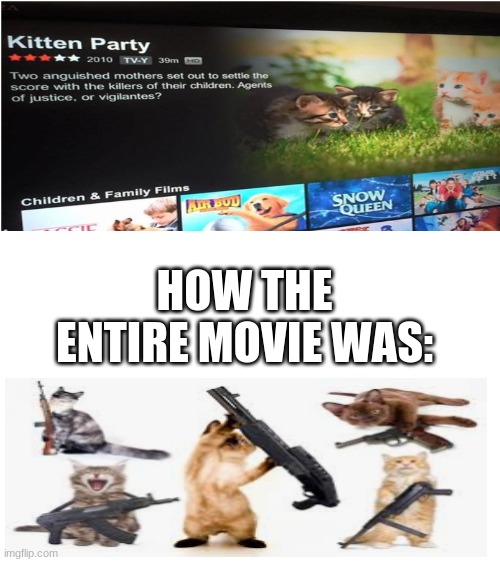 Bruh netflix fricked up again | HOW THE ENTIRE MOVIE WAS: | image tagged in blank white template,netflix,cats with guns | made w/ Imgflip meme maker