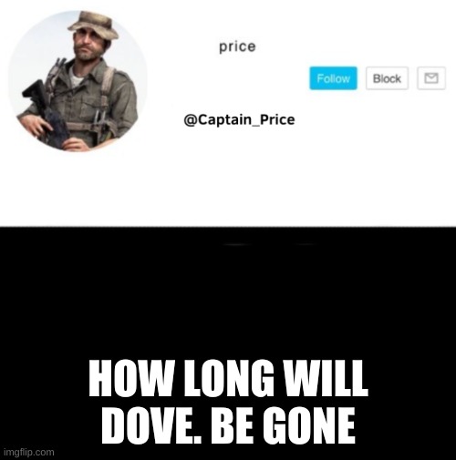 i miss her ;( | HOW LONG WILL DOVE. BE GONE | image tagged in captain_price template | made w/ Imgflip meme maker