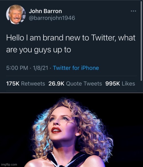 sometimes the internet is great | image tagged in john barron twitter,kylie fascinated black background,trump twitter,trump tweet,twitter,banned | made w/ Imgflip meme maker