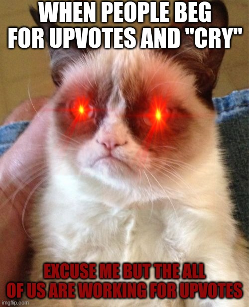 gwumpy cwat | WHEN PEOPLE BEG FOR UPVOTES AND "CRY"; EXCUSE ME BUT THE ALL OF US ARE WORKING FOR UPVOTES | image tagged in memes,grumpy cat | made w/ Imgflip meme maker