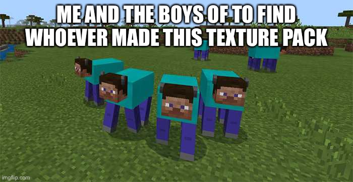 Cursed | ME AND THE BOYS OF TO FIND WHOEVER MADE THIS TEXTURE PACK | image tagged in me and the boys | made w/ Imgflip meme maker