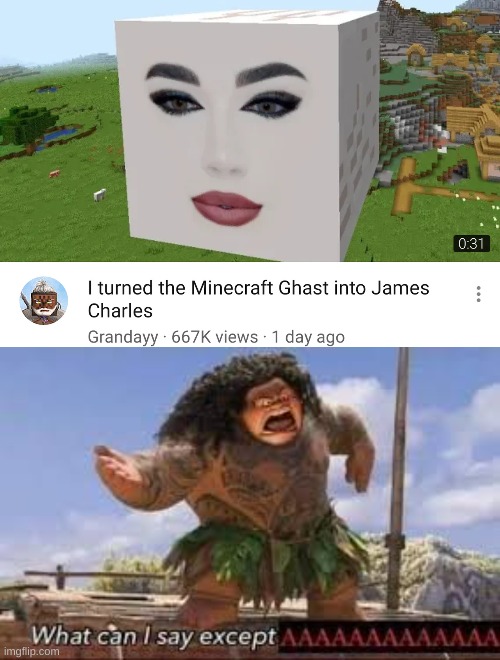 WTF | image tagged in memes,funny,minecraft,cursed image,what can i say except aaaaaaaaaaa,no god no god please no | made w/ Imgflip meme maker
