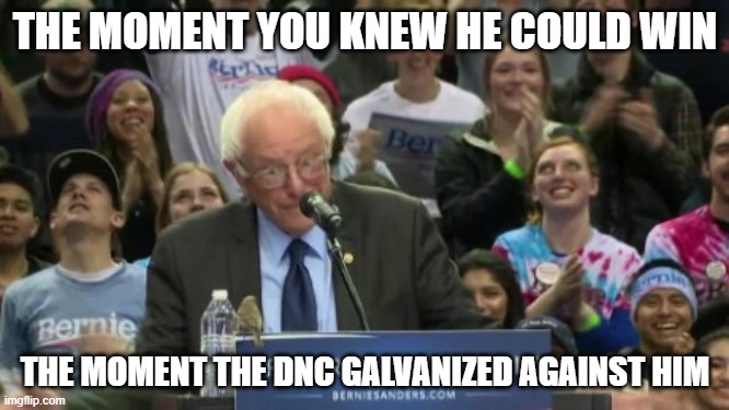 Birdie Sanders | THE MOMENT YOU KNEW HE COULD WIN; THE MOMENT THE DNC GALVANIZED AGAINST HIM | image tagged in birdie sanders | made w/ Imgflip meme maker