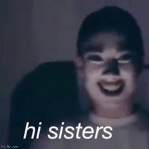 hi sisters | image tagged in hi sisters | made w/ Imgflip meme maker