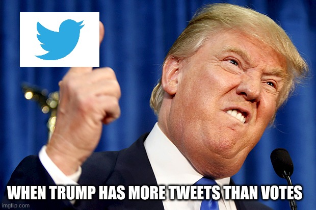 trump and tweets | WHEN TRUMP HAS MORE TWEETS THAN VOTES | image tagged in donald trump | made w/ Imgflip meme maker