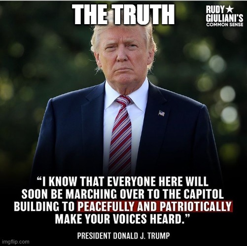 THE TRUTH | image tagged in trump 2020 | made w/ Imgflip meme maker