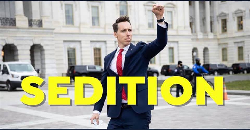 Josh Hawley sedition Blank Meme Template