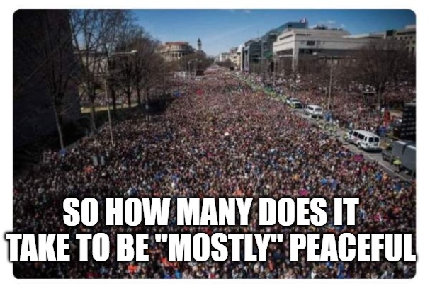Mostly Peaceful | SO HOW MANY DOES IT TAKE TO BE "MOSTLY" PEACEFUL | image tagged in peaceful,demonstration,mostly | made w/ Imgflip meme maker