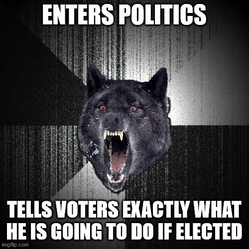 Insanity Wolf Meme | ENTERS POLITICS TELLS VOTERS EXACTLY WHAT HE IS GOING TO DO IF ELECTED | image tagged in memes,insanity wolf | made w/ Imgflip meme maker