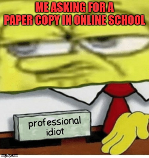Professional Idiot | ME ASKING FOR A PAPER COPY IN ONLINE SCHOOL | image tagged in professional idiot | made w/ Imgflip meme maker
