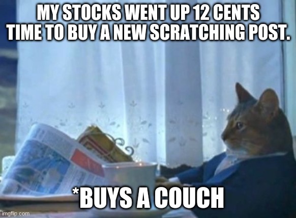 I Should Buy A Boat Cat Meme | MY STOCKS WENT UP 12 CENTS TIME TO BUY A NEW SCRATCHING POST. *BUYS A COUCH | image tagged in memes,i should buy a boat cat | made w/ Imgflip meme maker