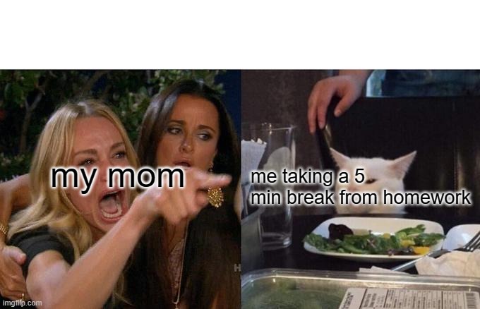 Woman Yelling At Cat Meme | my mom; me taking a 5 min break from homework | image tagged in memes,woman yelling at cat | made w/ Imgflip meme maker
