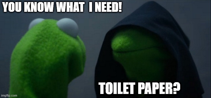 Evil Kermit | YOU KNOW WHAT  I NEED! TOILET PAPER? | image tagged in memes,evil kermit | made w/ Imgflip meme maker