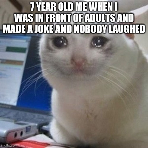 Crying cat | 7 YEAR OLD ME WHEN I WAS IN FRONT OF ADULTS AND MADE A JOKE AND NOBODY LAUGHED | image tagged in crying cat | made w/ Imgflip meme maker