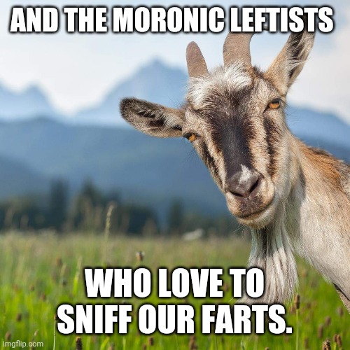 creepy condescending goat | AND THE MORONIC LEFTISTS WHO LOVE TO SNIFF OUR FARTS. | image tagged in creepy condescending goat | made w/ Imgflip meme maker