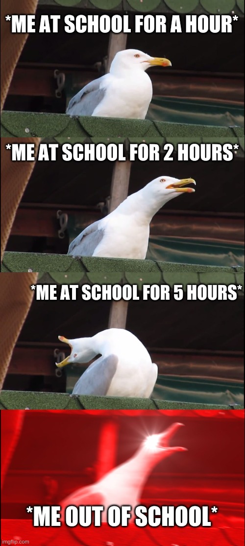 *ME AT SCHOOL FOR A HOUR* *ME AT SCHOOL FOR 2 HOURS* *ME AT SCHOOL FOR 5 HOURS* *ME OUT OF SCHOOL* | image tagged in memes,inhaling seagull | made w/ Imgflip meme maker