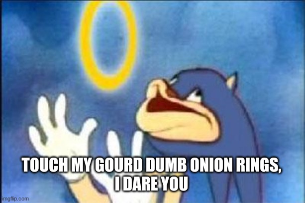 Sonic derp | TOUCH MY GOURD DUMB ONION RINGS,
I DARE YOU | image tagged in sonic derp | made w/ Imgflip meme maker