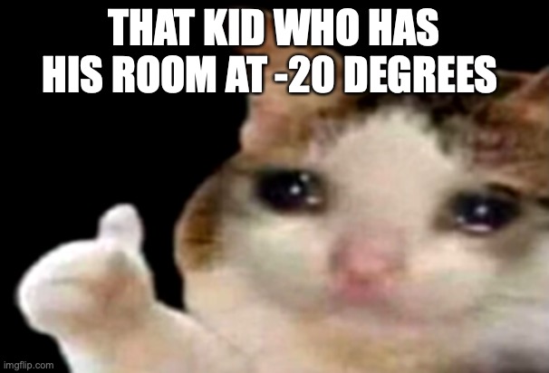 Sad cat thumbs up | THAT KID WHO HAS HIS ROOM AT -20 DEGREES | image tagged in sad cat thumbs up | made w/ Imgflip meme maker