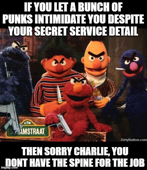 IF YOU LET A BUNCH OF PUNKS INTIMIDATE YOU DESPITE YOUR SECRET SERVICE DETAIL THEN SORRY CHARLIE, YOU DONT HAVE THE SPINE FOR THE JOB | made w/ Imgflip meme maker