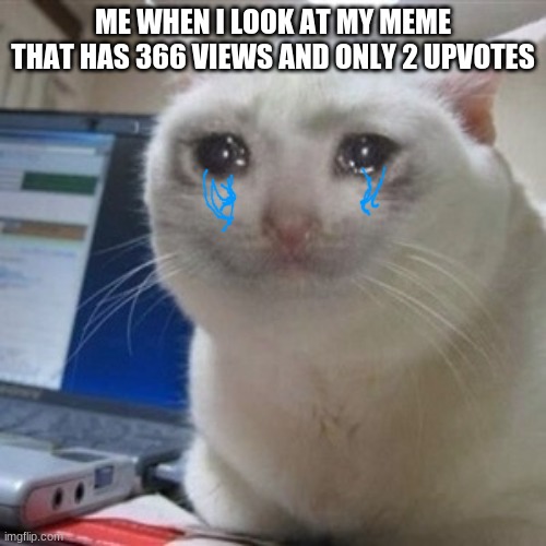 Crying cat | ME WHEN I LOOK AT MY MEME THAT HAS 366 VIEWS AND ONLY 2 UPVOTES | image tagged in crying cat | made w/ Imgflip meme maker