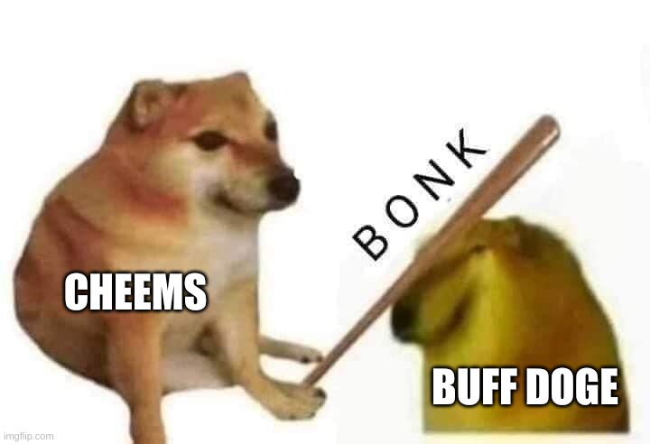 Doge bonk | CHEEMS; BUFF DOGE | image tagged in doge bonk | made w/ Imgflip meme maker