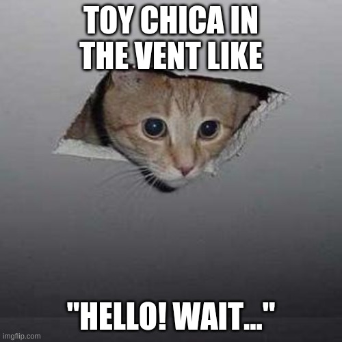 toy chica be like | TOY CHICA IN THE VENT LIKE; "HELLO! WAIT..." | image tagged in memes,ceiling cat | made w/ Imgflip meme maker