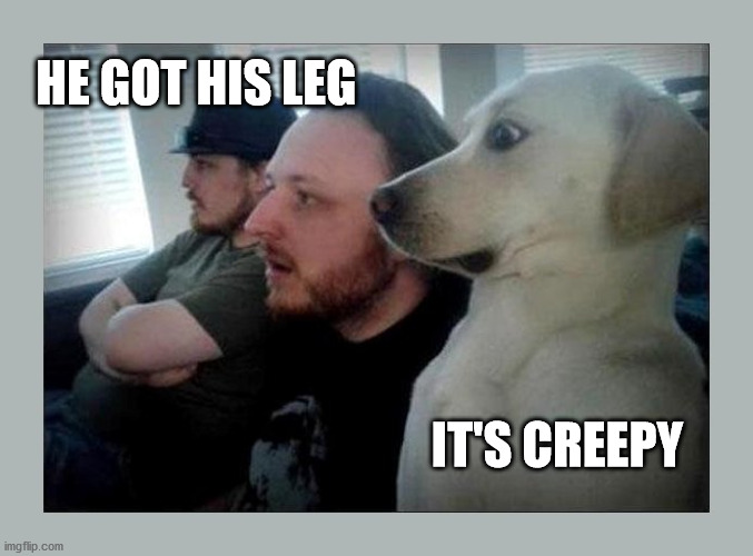 surprised dog | HE GOT HIS LEG IT'S CREEPY | image tagged in surprised dog | made w/ Imgflip meme maker