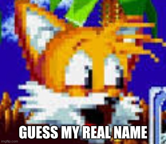 tails pog | GUESS MY REAL NAME | image tagged in tails pog,memes | made w/ Imgflip meme maker