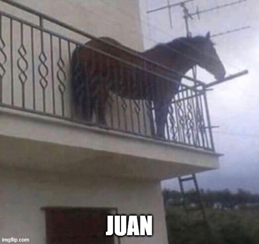 PURE juan | JUAN | image tagged in juan | made w/ Imgflip meme maker