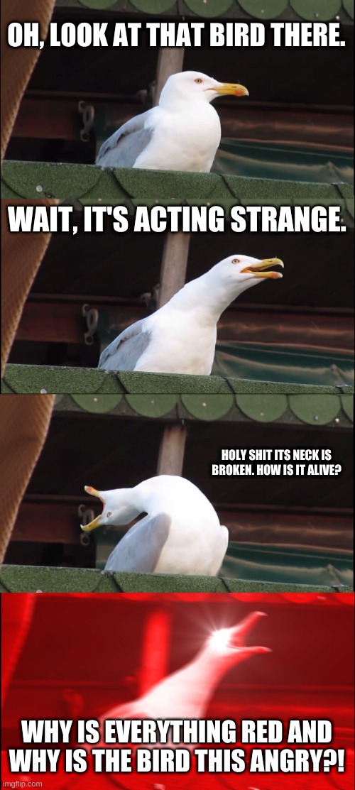 Inhaling Seagull Meme | OH, LOOK AT THAT BIRD THERE. WAIT, IT'S ACTING STRANGE. HOLY SHIT ITS NECK IS BROKEN. HOW IS IT ALIVE? WHY IS EVERYTHING RED AND WHY IS THE BIRD THIS ANGRY?! | image tagged in memes,inhaling seagull | made w/ Imgflip meme maker