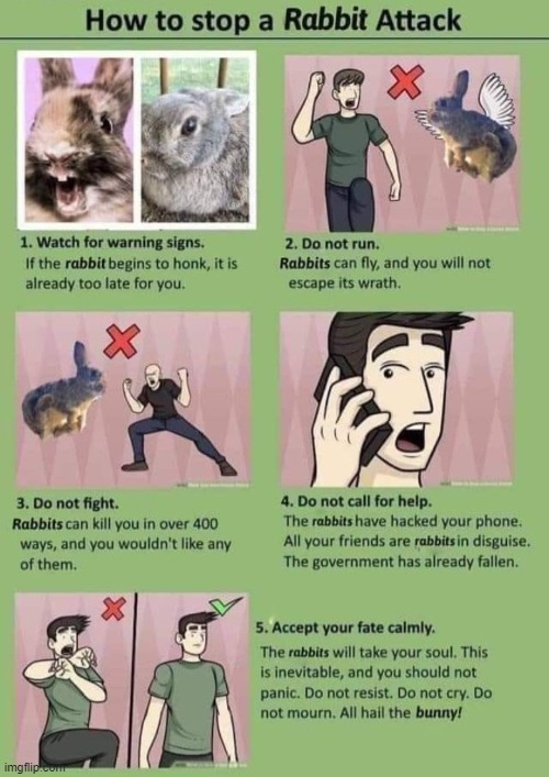 fascinating | image tagged in how to stop a rabbit attack,rabbit,rabbits,uh oh,oh no,bunny | made w/ Imgflip meme maker