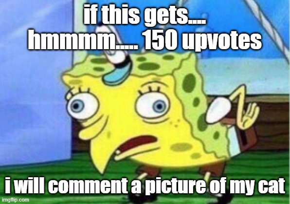 Mocking Spongebob Meme | if this gets.... hmmmm..... 150 upvotes; i will comment a picture of my cat | image tagged in memes,mocking spongebob | made w/ Imgflip meme maker