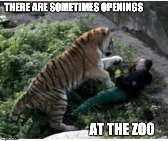 THERE ARE SOMETIMES OPENINGS AT THE ZOO | made w/ Imgflip meme maker