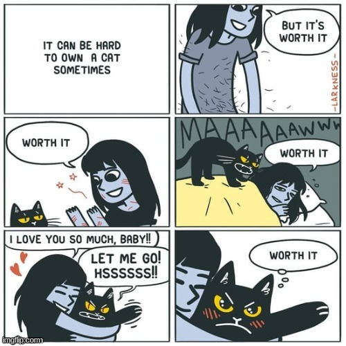 Having a cat is not worth it | image tagged in comics,memes | made w/ Imgflip meme maker