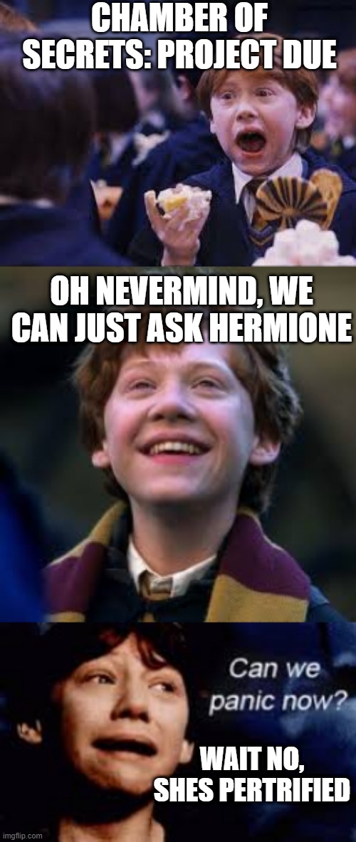 can we panic now??? | CHAMBER OF SECRETS: PROJECT DUE; OH NEVERMIND, WE CAN JUST ASK HERMIONE; WAIT NO, SHES PERTRIFIED | image tagged in harrypotter | made w/ Imgflip meme maker