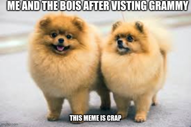 i don't know | ME AND THE BOIS AFTER VISTING GRAMMY; THIS MEME IS CRAP | image tagged in puff bois | made w/ Imgflip meme maker