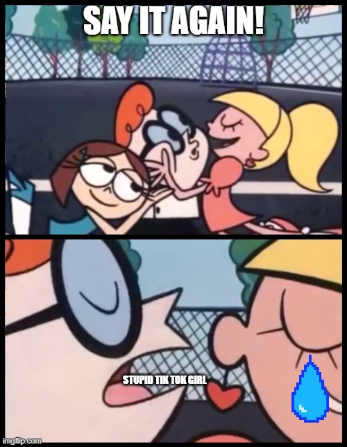 Say it Again, Dexter | SAY IT AGAIN! STUPID TIK TOK GIRL | image tagged in memes,say it again dexter | made w/ Imgflip meme maker