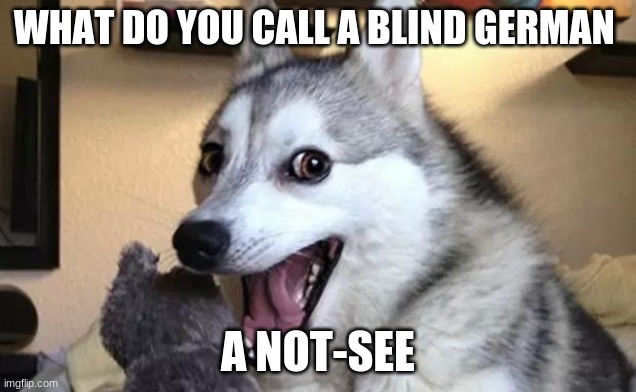 Pun dog - husky | WHAT DO YOU CALL A BLIND GERMAN; A NOT-SEE | image tagged in pun dog - husky | made w/ Imgflip meme maker