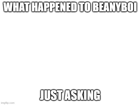 Blank White Template | WHAT HAPPENED TO BEANYBOI; JUST ASKING | image tagged in blank white template | made w/ Imgflip meme maker