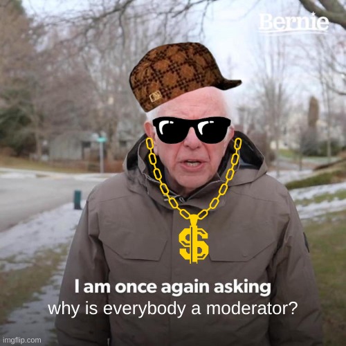 well, at least im a mod | why is everybody a moderator? | image tagged in memes,bernie i am once again asking for your support | made w/ Imgflip meme maker
