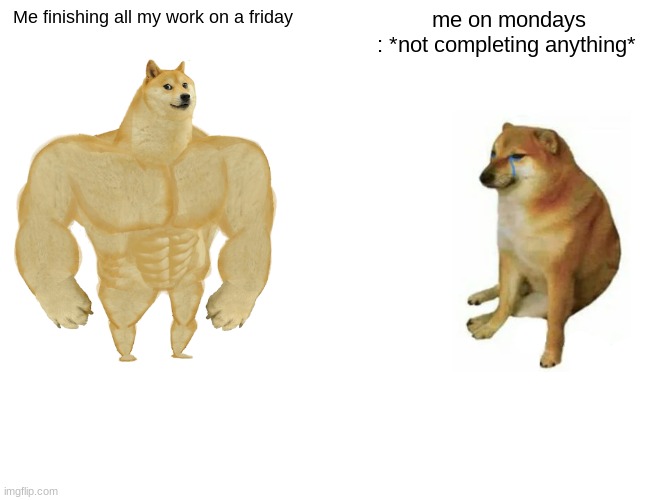 i'm in class rn | Me finishing all my work on a friday; me on mondays
: *not completing anything* | image tagged in memes,buff doge vs cheems | made w/ Imgflip meme maker