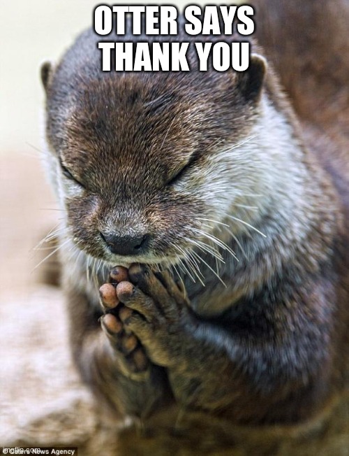 Thank you Lord Otter | OTTER SAYS THANK YOU | image tagged in thank you lord otter | made w/ Imgflip meme maker