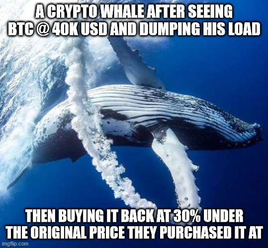 A CRYPTO WHALE AFTER SEEING BTC @ 40K USD AND DUMPING HIS LOAD; THEN BUYING IT BACK AT 30% UNDER THE ORIGINAL PRICE THEY PURCHASED IT AT | made w/ Imgflip meme maker