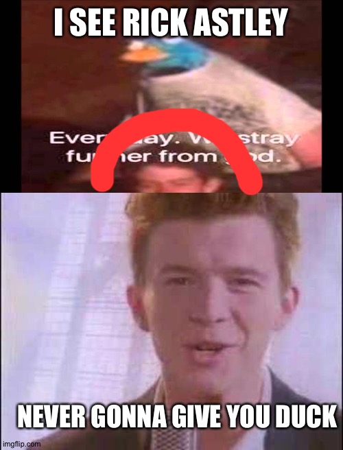 Never gonna give you duck | I SEE RICK ASTLEY; NEVER GONNA GIVE YOU DUCK | image tagged in every day we stray further from god,rick roll,duck,funny,memes,never gonna give you up | made w/ Imgflip meme maker